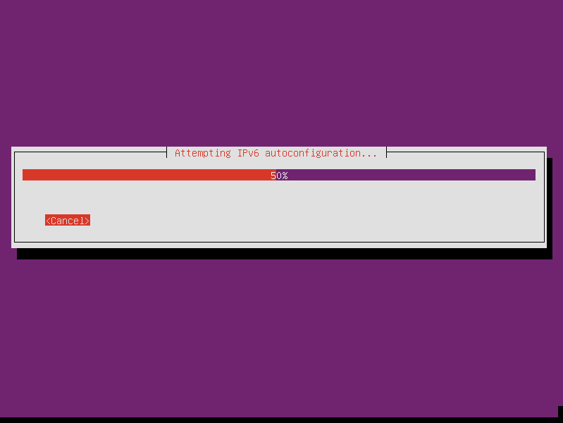 Attempting IPv6 autoconfiguration.